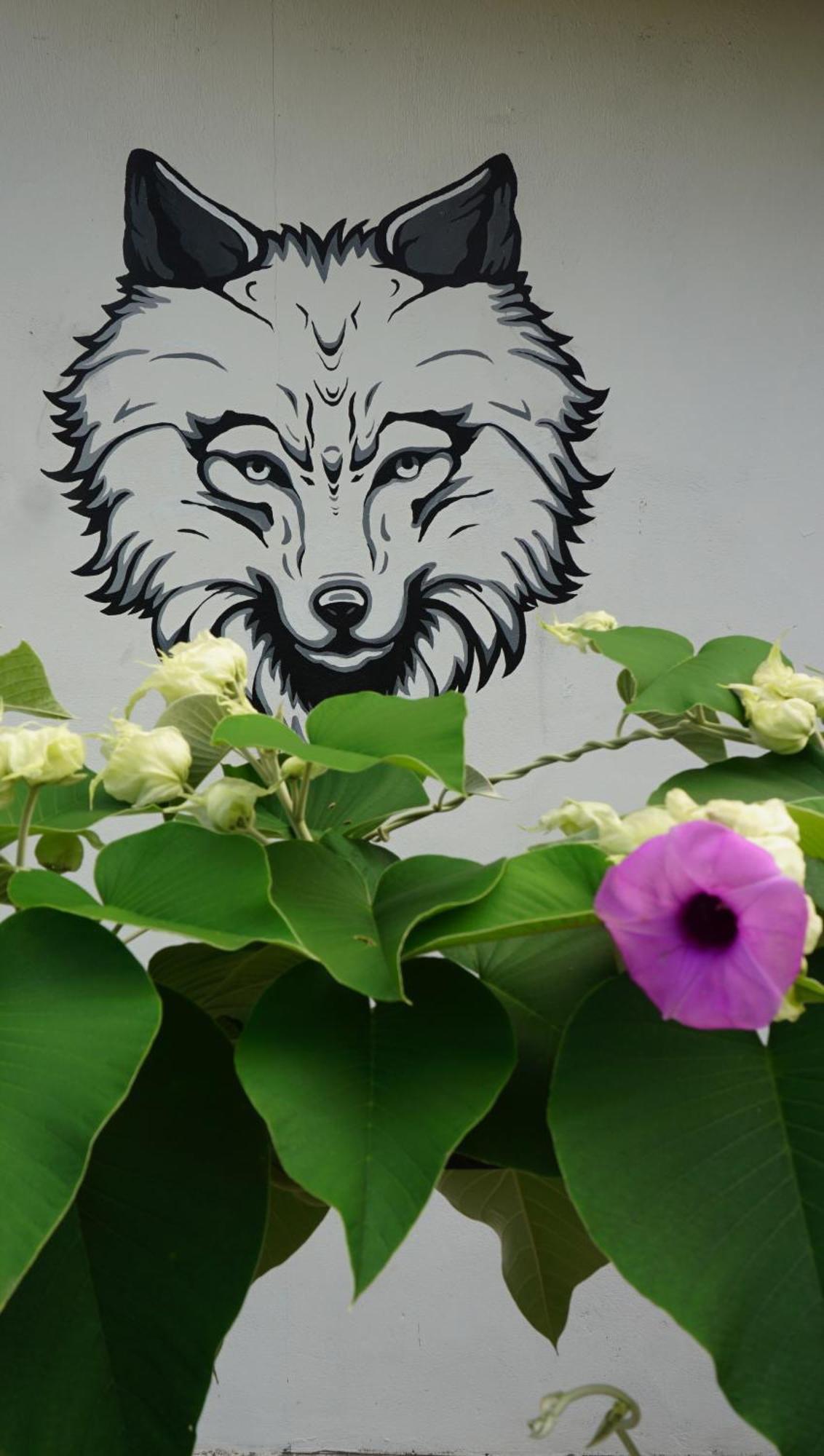 House Of Wolves Hostel Pantai Cenang  Exterior foto